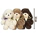 Imagen de HOMEXYLYL Peluche de caniche