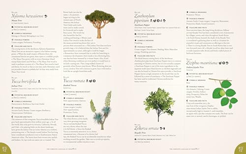 Image of The Complete Language of Trees - Pocket Edition: A Definitive and Illustrated History