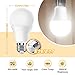 Full Spectrum Light Bulb, 6000K Natural Sunlight Bulbs, 9W 60W Equivalent LED Light Bulb, Natural Light Bulbs A19, E26/E27, 4 Pack