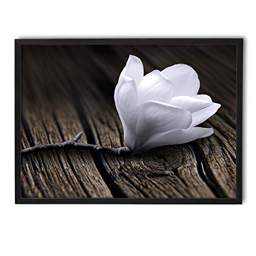Cuadro en marco, póster moderno, pared artística, varios temas 50 x 70 cm (magnolia blanca) Cover