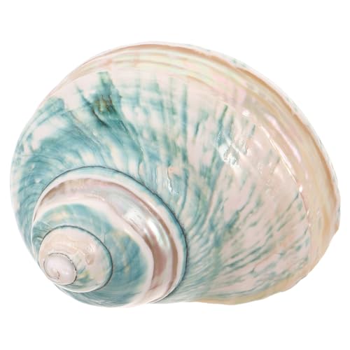 Caracola natural de diseño mediterráneo Gadpiparty con material de concha