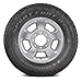 Eldorado Sport Fury AT4S All Terrain 245/75R16 111T Light Truck Tire
