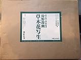 草木花写生―東京国立博物館蔵 (1977年)