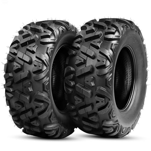PROPARTS 2Pcs 25x8-12 ATV UTV Tires, 25x8x12...