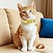 6PCS Cat Collar Breakaway with Bells, Safety Nylon Kitten Collars with Buckle, Adjustable 8.28-14 Inch(21-35.5cm), Claw Print Design, Soft Kitten Collars Cat Collars for Girl Boy Cats