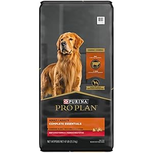 Purina Pro Plan High Protein Dog Food With Probiotics for Dogs, Shredded Blend Beef & Rice Formula – 47 Lb. Bag