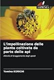 Edizioni Sapienza