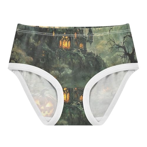 Cotton Toddler Underwear Floral Halloween Spooky Pumpkins House Little Girl Panties Fun Briefs Underpants 2t