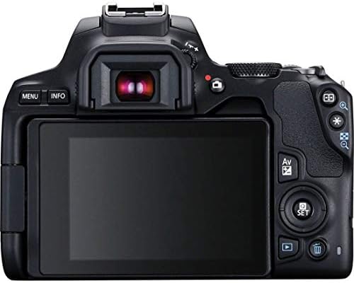 Canon EOS 250D + Canon EF-s 18-55mm f/4-5.6 IS STM Lens - Black