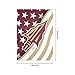 FOCO Florida State Seminoles NCAA Americana Vertical Flag
