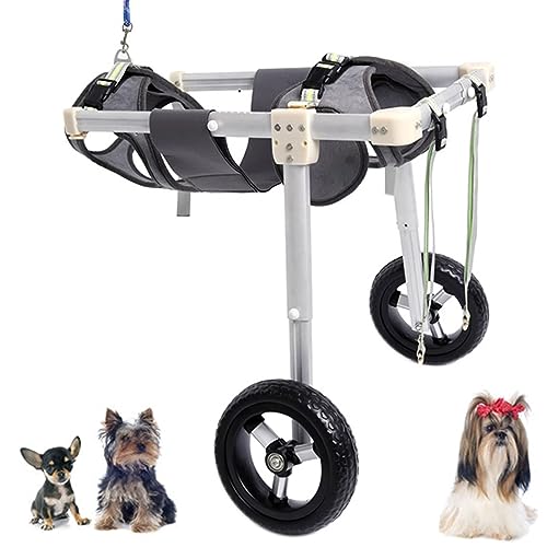 Silla de ruedas para perros en entrenamientos de rehabilitación, talla M con arnés suave