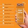 Feel Vegan Protein Bars, Variety Pack, Adaptogenic Snack, Keto, Gluten Free, Organic, 15g Protein, Low Carb, Dairy Free, 6 Flavors, Non GMO, Soy Free, Grain Free, 6 Pack #4