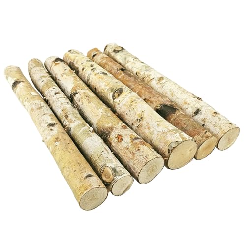 Nature Vibe 16 Inches Birch Logs Set of 6 for Rustic Home Decor