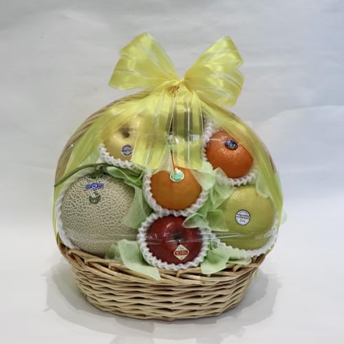 Mtg ʕ  䌩₨ajɂlC É̃t[cXVVI m[uhi ①֑Ή (F)