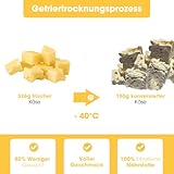 KAUDAS KäsePur Natursnack – 2 x 150g gefriergetrockneter Käse Leckerli Hund mit hohem Proteingehalt, 100% natürlicher Hundesnack aus 326g Rohgewicht – ohne Zucker, Getreide & Zusatzstoffe