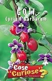  Semi Pianta Bacca di Goji, Pianta officinale,2 Buste Linea maxi, Mondonatura srl