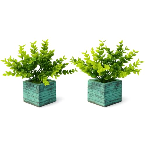 Image of DecoreBugs Artificial Eucalyptus Plant with Plastic Pot (Pack of 2) | 12 cm Height | Mini Potted Plants for Shelf Decor, Home, Office, Living Room, Desk & Table Item Decoration