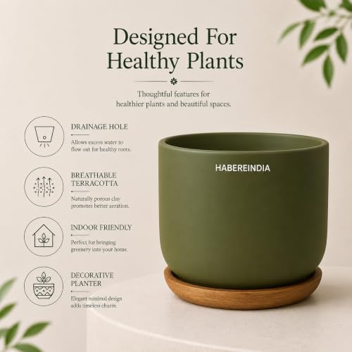 Image of Habere India-All the Cultures Fabricating India Plant Pot with Wooden Plate | Flower Pots for Dining Table & Home Decor | Terracotta Pot for Living Room Decoration (Olive, Dia11 x H10 cm)