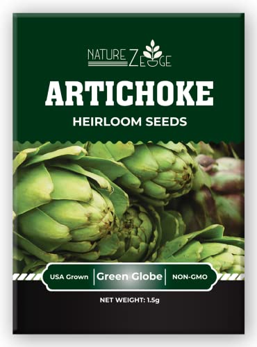 Artichoke Seeds for Planting Green Globe Artichoke Seeds High Germination Rates Heirloom Non-GMO