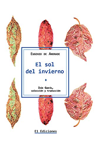 El sol del invierno (Poesía y poética)