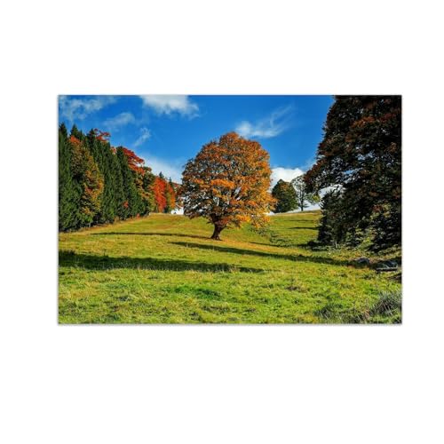 Decoration murale salon moderne forêt arbres sans cadre 30x45cm