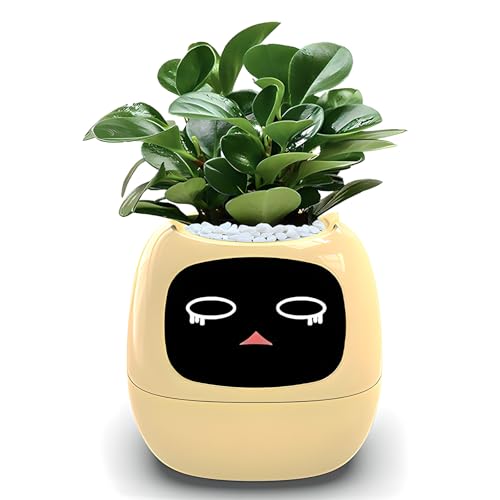 Planteur AI pour sauver vos plantes vertes d'intérieur du dessèchement