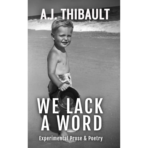 We Lack A Word Audiolibro Por A. J. Thibault arte de portada