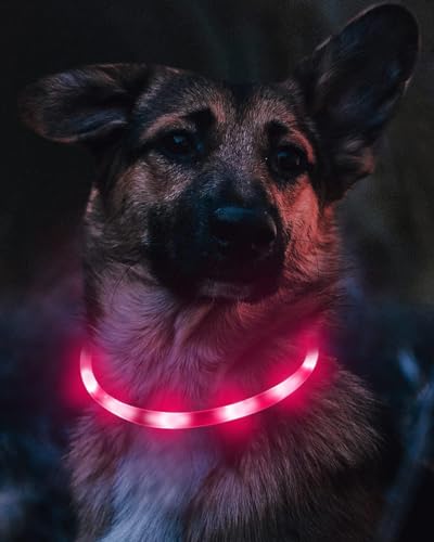 Joytale Leuchthalsband Hund USB Aufladbar Hundehalsband Leuchtend für Große Mittel Kleine Hunde und Welpe, Led Halsband mit 3 Modi für Sicherheit, Rosa