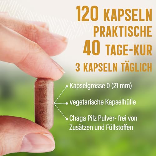Chaga Pilz Kapseln 120 Stück – 900 mg Rohkostqualität