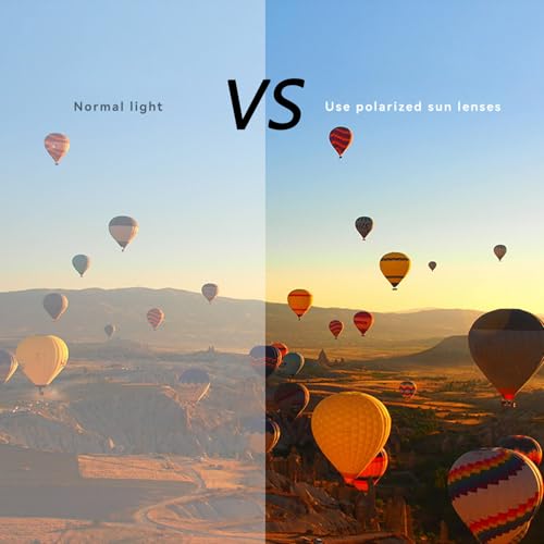 FlexiTint Retro,Sunglasses for EveryLight, Ballee Adjustable Tint Sunglasses with Built-in ND Filter, with 1-9 Gear Control3