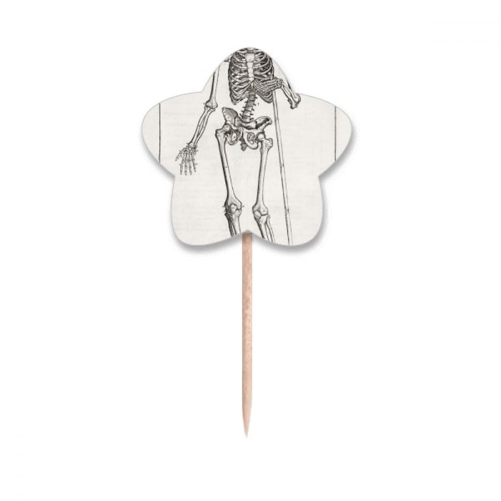 Pics cupcake squelette humain evite gateaux mous avec drapeaux etoile rigides