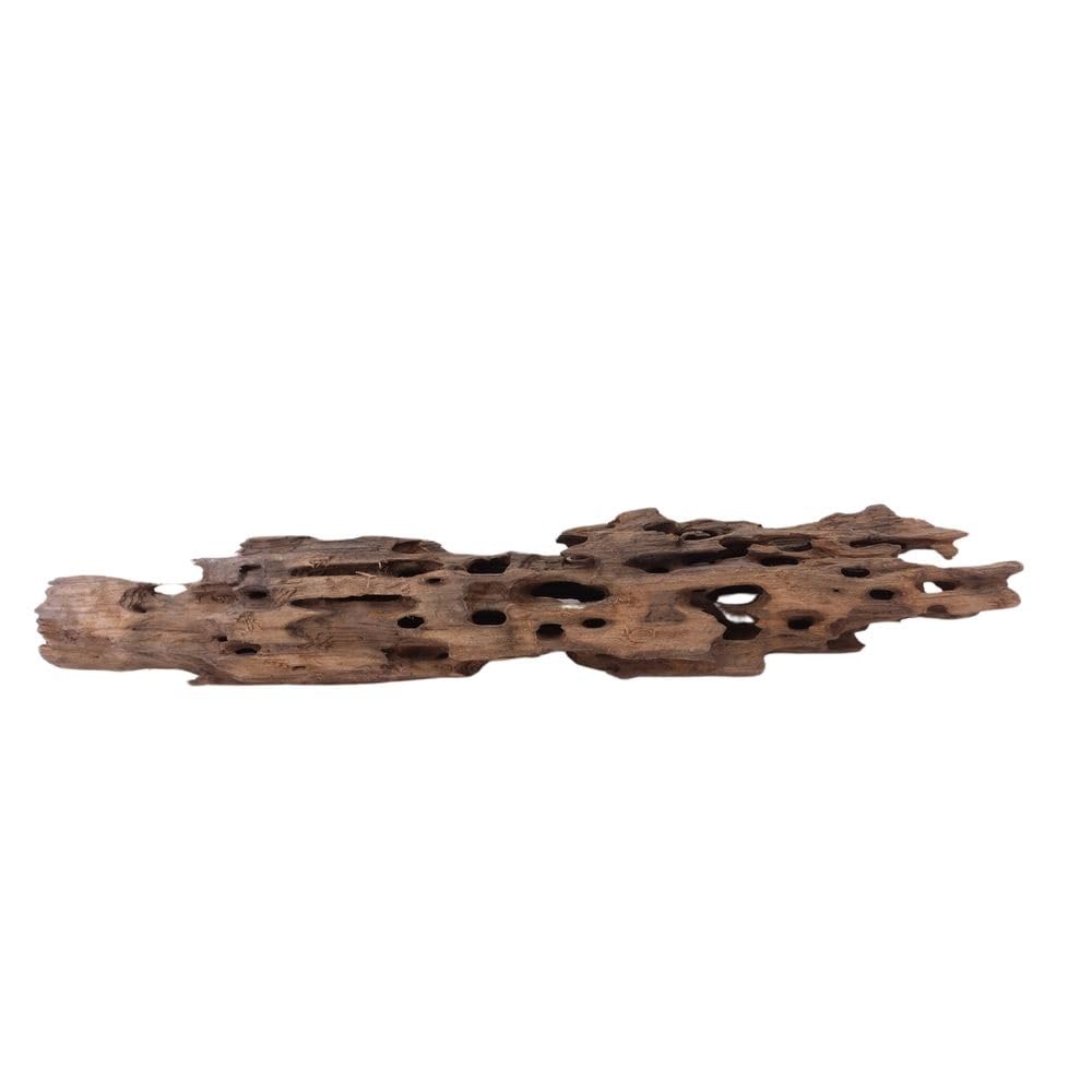 XL Honey Comb Raíz nº 1946 Acuario Raíz Mangrove Madera Decoración Paisaje Musgo Naturaleza Madera Auténtica