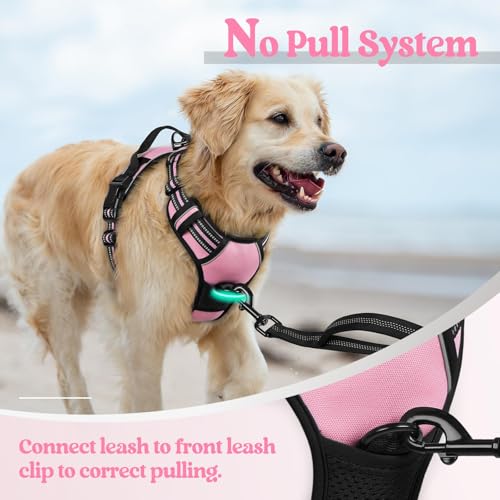 rabbitgoo Dog Harness No Pull with 2 Leash Clips, Adjustable Soft Padded, Reflective Oxford No Choke Pet Vest with Easy Control Handle for Large Dogs, Pink, L - Thumbnail 5