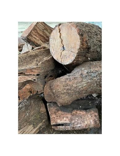 Mugar -Leña para Chimenea, Estufa o Barbacoa. Leña de Encina y Olivo- Troncos de leña Mediano 30-40cm - Distintas Cantidades (Encina, 100 kg)