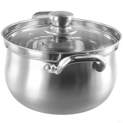 Olla de sopa de acero inoxidable de 24 cm con tapa de vidrio, compatible con inducción, para sopas, verduras, fideos, desbordamiento, apta para lavavajillas, 24 x 13,7 cm