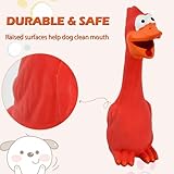 Quietschendes Hundespielzeug Tukan Gummihuhn - Leicht Zu Klingen, Beiß- Und Verschleißfest Aus Latex Für Große Und Kleine Hunde (Rot)