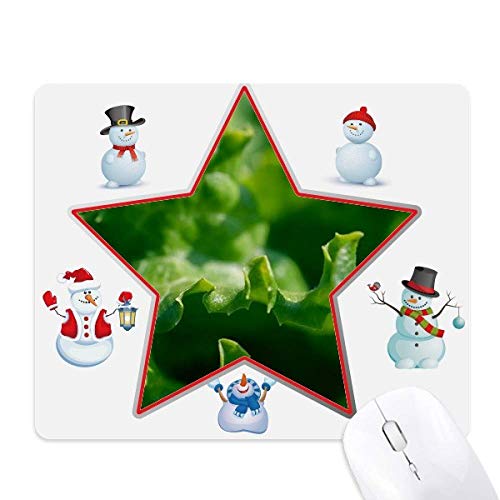 _炩tA̎R̎ʐ^ NX}XElƑS̃}EXpbh