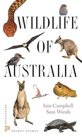 Wildlife of Australia?: 10-Wow! eBook