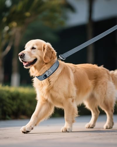 Image of Joytale Dog Collar for Extra Large Dogs, Neoprene Padded and Adjustable, Reflective Wide Heavy Duty Pet Collars with Durable Metal Belt Buckle for Walking, Gray, XL