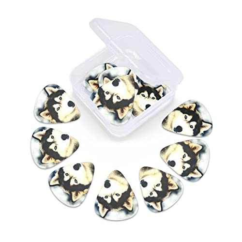Médiators de guitare Pack de 12 médiators Husky sibérien pour guitare électrique Guitare acoustique Diverses guitares - Les Beatles, Paul McCartney, John Lennon, RIngo Starr, George Harrison Médiators de guitare Pack de 12 médiators Husky sibérien pour guitare électrique Guitare acoustique Diverses guitares – Image 6