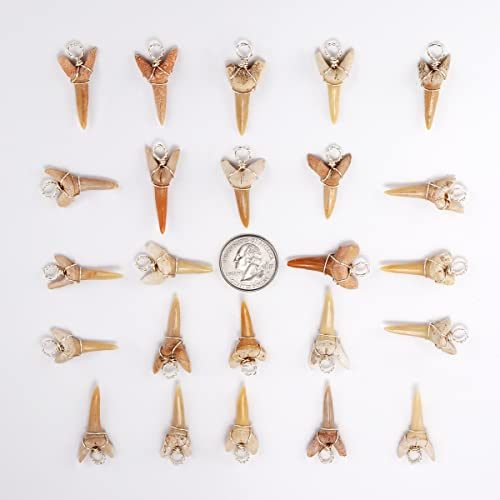 Shark Tooth Necklace For Men Boys, Genuine Fossil Shark Teeth Jewelry,Surfer Necklace Cool Beach Necklaces For Men, Teen Girls Leather Cord Shark Necklace, Shark Tooth Pendant Neckless #TOP5