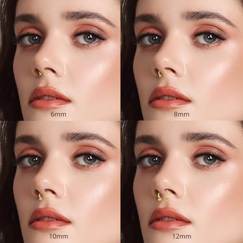 D.Bella 16G 18G 20G Horseshoe Septum Rings Surgical Steel Nose Piercing Jewelry Cartilage Helix Tragus Earring Hoop Eyebrow Lip Retainer for Women Men 6mm 8mm 10mm 12mm4