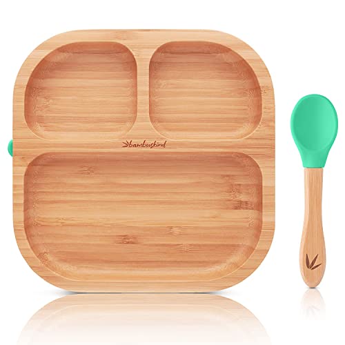 bambuskind Kinderteller mit Saugnapf grün I Inkl. Rezepte-Ebook I rutschfester Babyteller aus Bambus mit Löffel I Kindergeschirr-Set zum Essen lernen I ohne schädliche Kunststoffe bambuskind Kinderteller mit Saugnapf grün I Inkl. Rezepte-Ebook I rutschfester Babyteller aus Bambus mit Löffel I Kindergeschirr-Set zum Essen lernen I ohne schädliche Kunststoffe