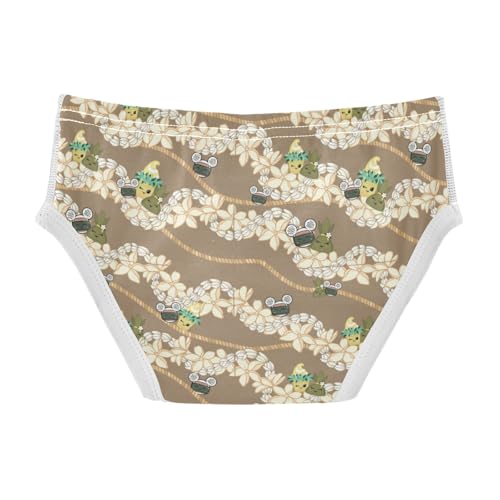 Boys' Exclusive Briefs Toddler Underwear 95% Combed Cotton Boxerbriefs 2T Fairy and Flower Path Pattern 702