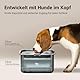 DownyPaws Wassernapf Hund ohne Sabbern, 3L Wassernapf Hund Anti-Verschluck-Wasser, aus 304 Edelstahl, Für drinnen, draußen geeignet, Verhindert Tropfen, Hält den Boden trocken und hygienisch, Schwarz