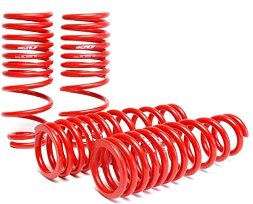 Skunk2 519-05-1560 Lowering Spring for 94-01 Acura Integra Set of 4