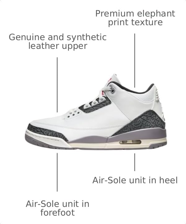 Image of Nike Men's Air Jordan 3 Retro Sneaker