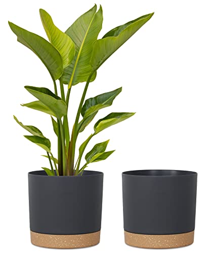 Pots de fleurs avec trou et soucoupe pour éviter le pourrissement