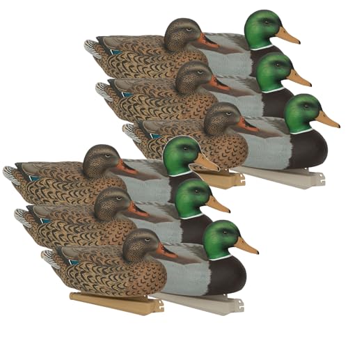 Avery GHG Essential Mallard Decoys