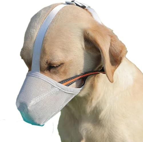 GerRiT �� ���� ���p �}�Y������ ���� ���� �����ʖi���΍� ���^�� ���^�� �Ƌ�j��h�~ ���ݕȑ΍� ���r�ߖh�~ �T�C�Y���߉\ ���p�P���p�i ���̌��J�o�[ �y�b�g�p�}�X�N,�� �i�� �V�^�y�b�g�p ���b�V�� ���J�o�[ ���� ��� �ʋC��